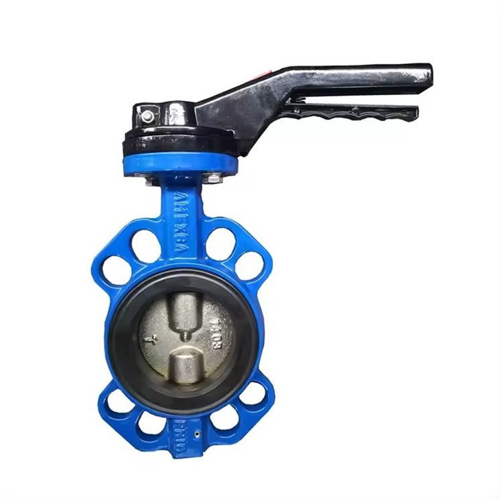 butterfly valve 2